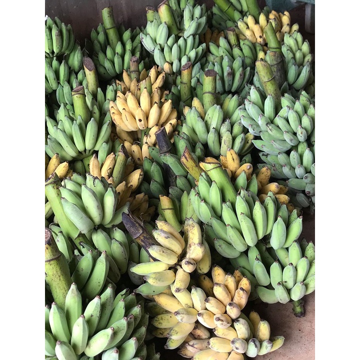 500g chuối chín ép dẻo ngọt tự nhiên, dành cho cả bầu bì và bé nhỏ không phẩm màu