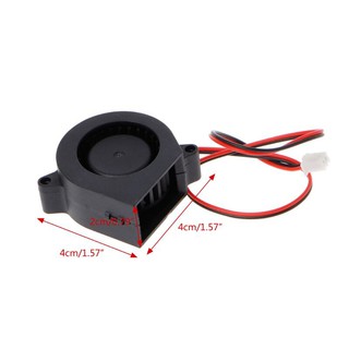 Quạt sò 4020