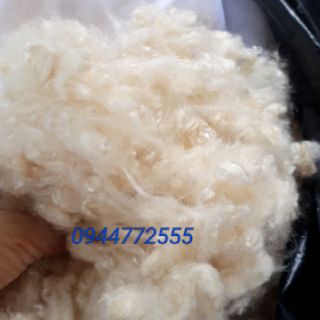 Gòn tự nhiên 150 /1 kg