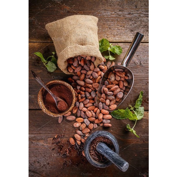 Bột Cacao nguyên chất Hộp 500 gram, bột mịn thơm ngon bổ dưỡng - A Ma Thuộc
