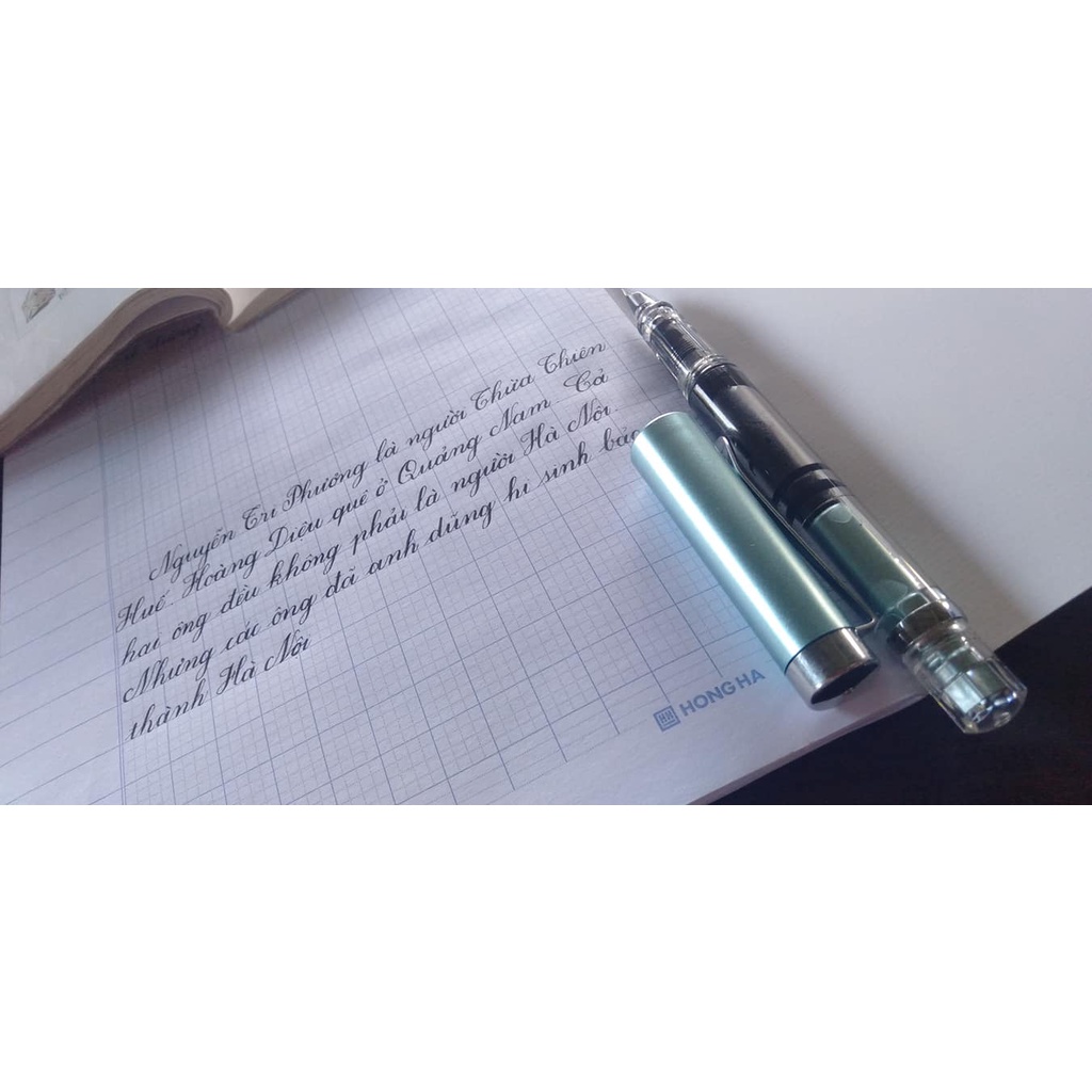 Bút ngòi lá tre thanh đậm T09