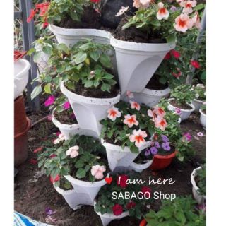 Combo 2 tháp trồng cây mỗi tháp 8 tầng Hàng Việt Nam chất lượng