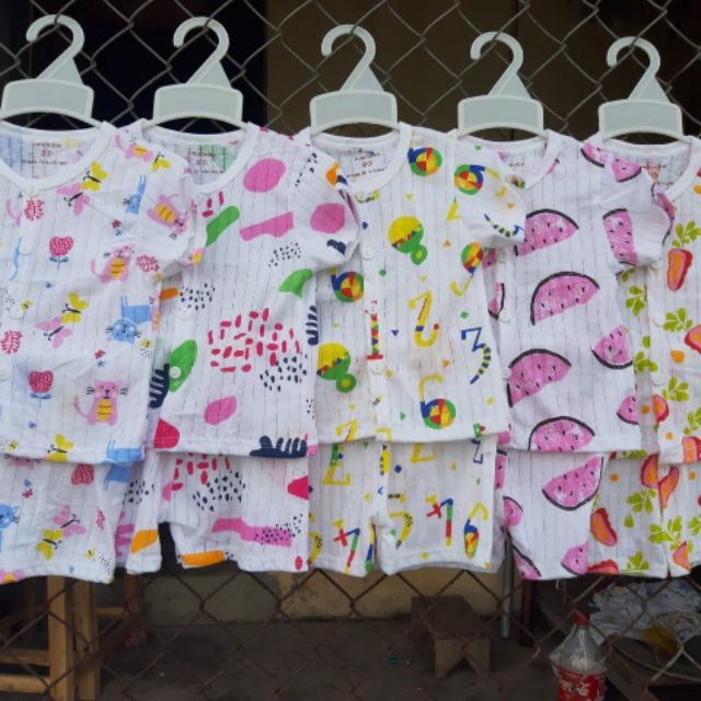5b cotton giấy
