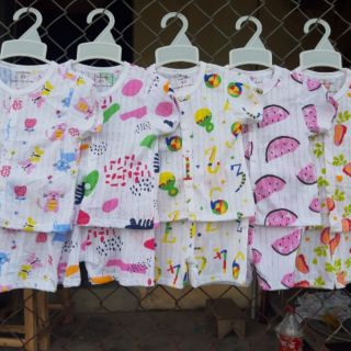 5b cotton giấy