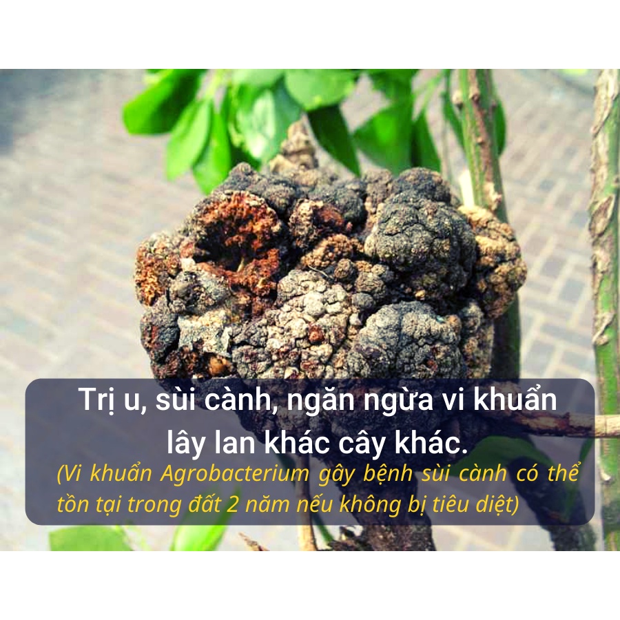Dung dịch nano bạc diệt khuẩn Unitech  - Nguyên chất nồng độ 1000 ppm