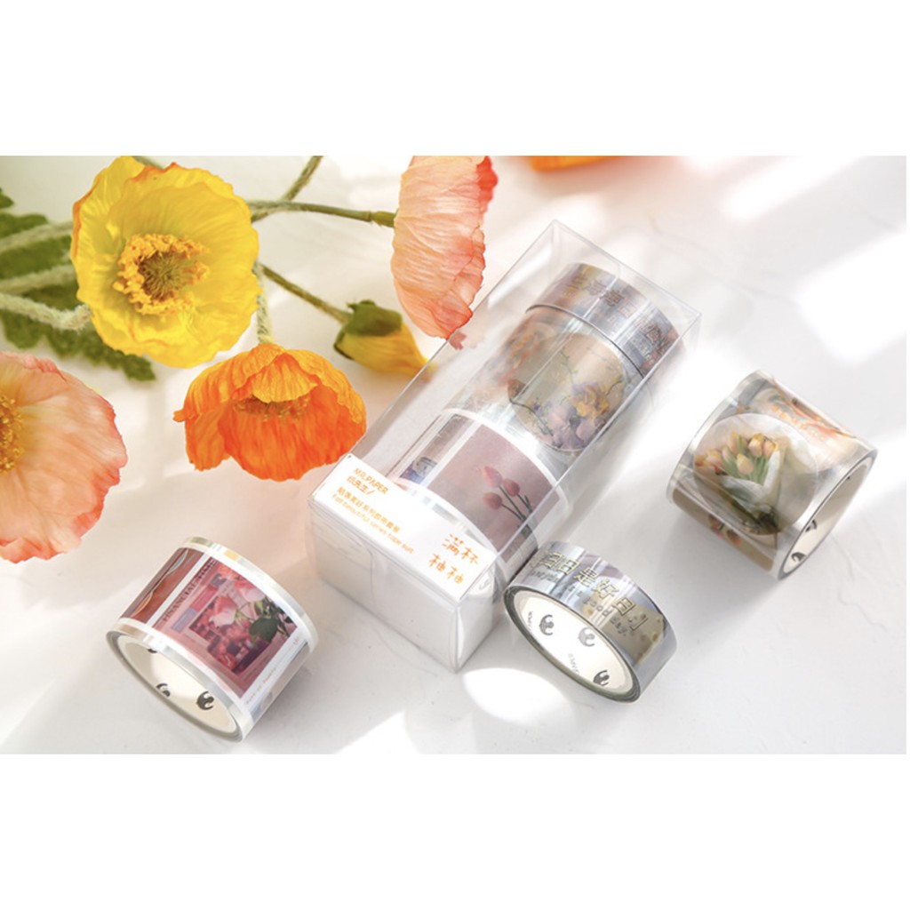 Set 3 cuộn washi tape cảnh vật FALL INTO THE BEAUTIFUL