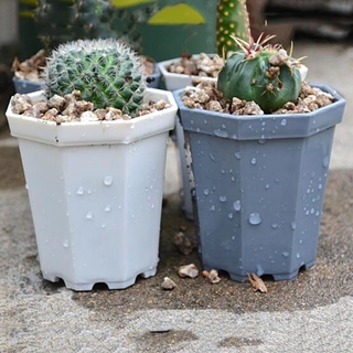 High Quality Plastic Mini Octagon Flower Pot