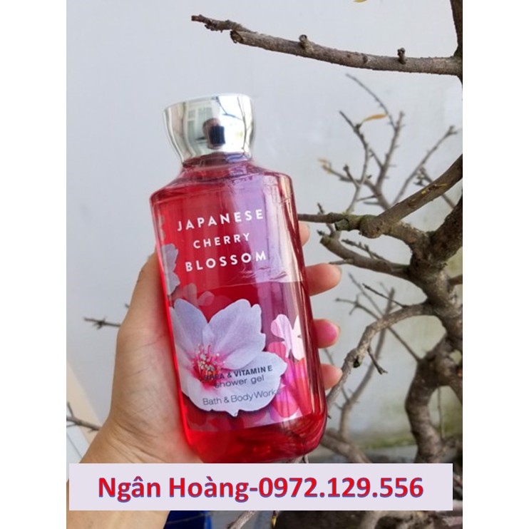 - BBW - Bath & Body Works Japanese Cherry Blossom -Sữa tắm dạng gel mùi hoa anh đào