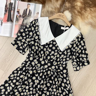 Váy cúc họa mi.
