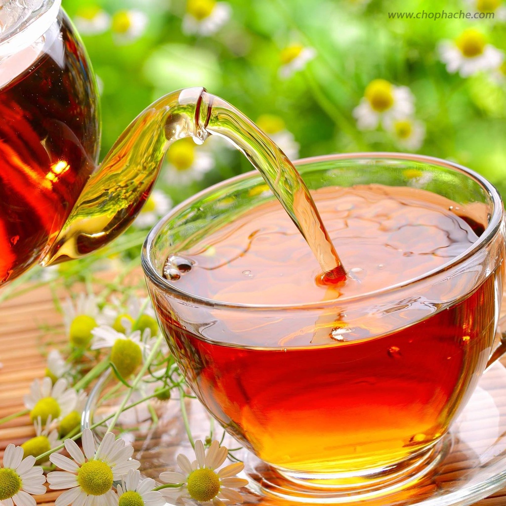 Hồng Trà Đặc Biệt Royal 500g - Pha Trà Sữa Thơm Ngon | BigBuy360 - bigbuy360.vn