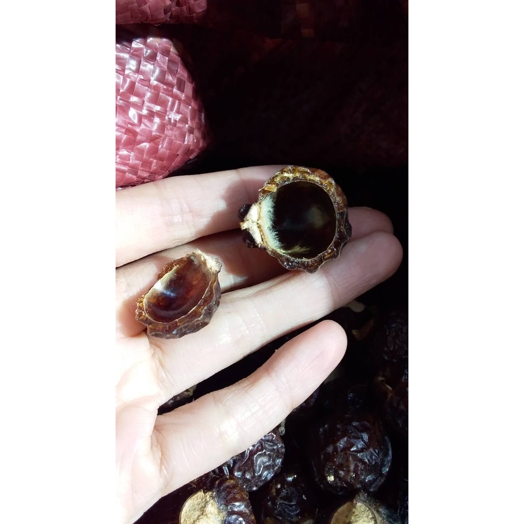 Bồ hòn loại 2