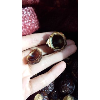 Bồ hòn loại 2