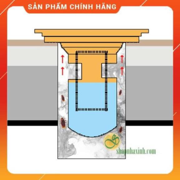 Phễu thu sàn cao cấp, chống hôi, chống côn trùng, chống trào ngược