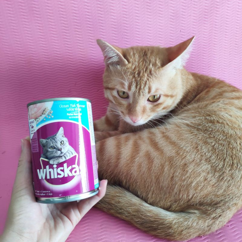 Pate Whiskas cho mèo trưởng thành, thức ăn ướt cho mèo hộp 400g