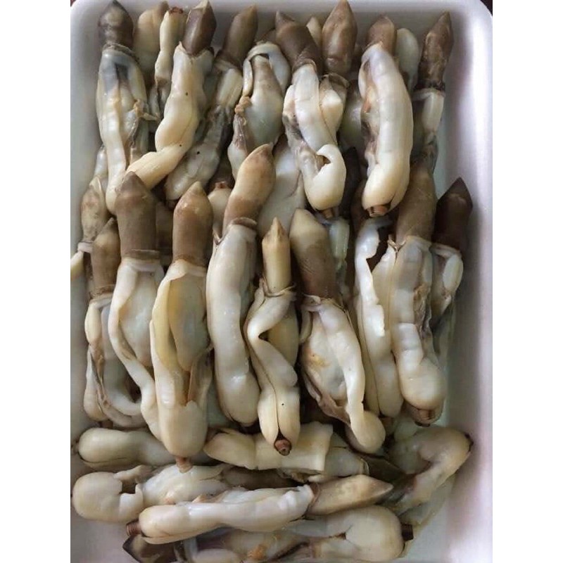 Ruột ốc móng tay đã làm sạch 1kg ❤️ SALE SỐC ❤️ xào, nấu, sốt me béo ngậy