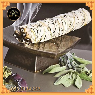 XÔ THƠM TRẮNG thanh tẩy - WHITE SAGE  - THẢO MỘC XÔNG NHÀ