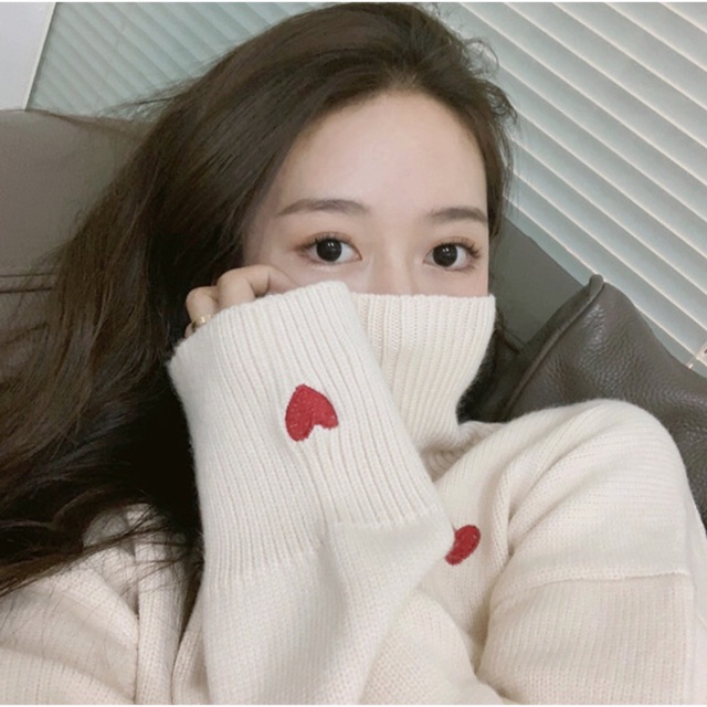 Siêu phẩm Áo len cổ cao thời trang Hàn Quốc A01