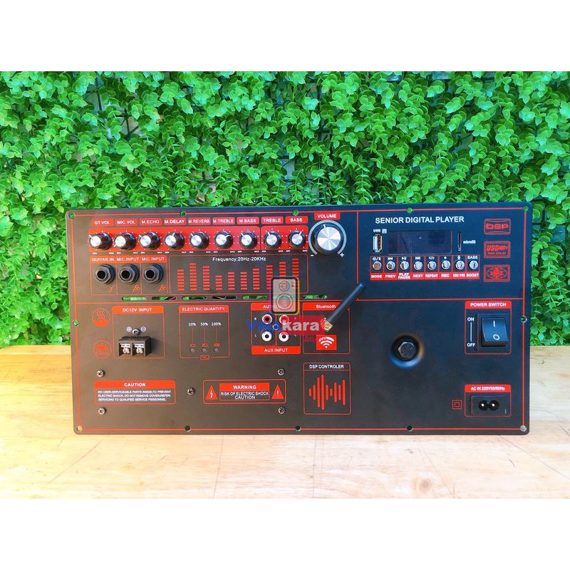 Mạch loa kéo có reverb, Mạch loa công suất lớn, 4 tấc đôi tích hợp Bluetooth, âm thanh mạnh mẽ, chất lượng, mạch 19x38