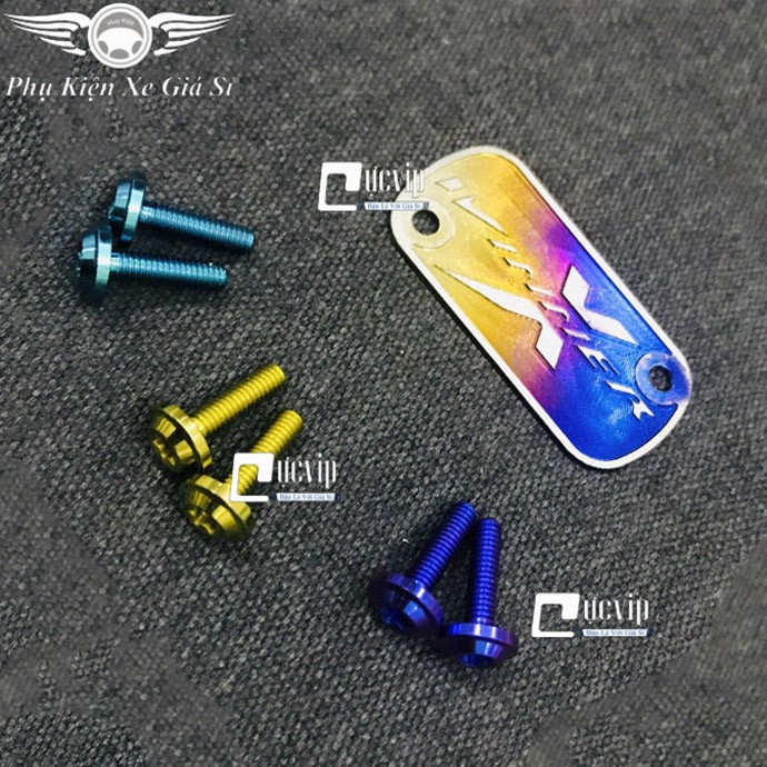 Combo Tem Titan Dán Nắp Dầu Winner X Và 2 Ốc Nắp Dầu Titan Thật GR5 (titan 100%) MS3378