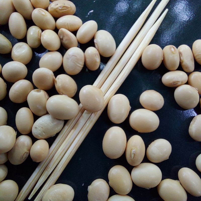Đậu tương dẹt thuần chủng 1kg, đậu nành hạt nhỏ giống cổ Hà Giang canh tác thuận tự nhiên, dùng làm Natto Lê Nguyệt Nut