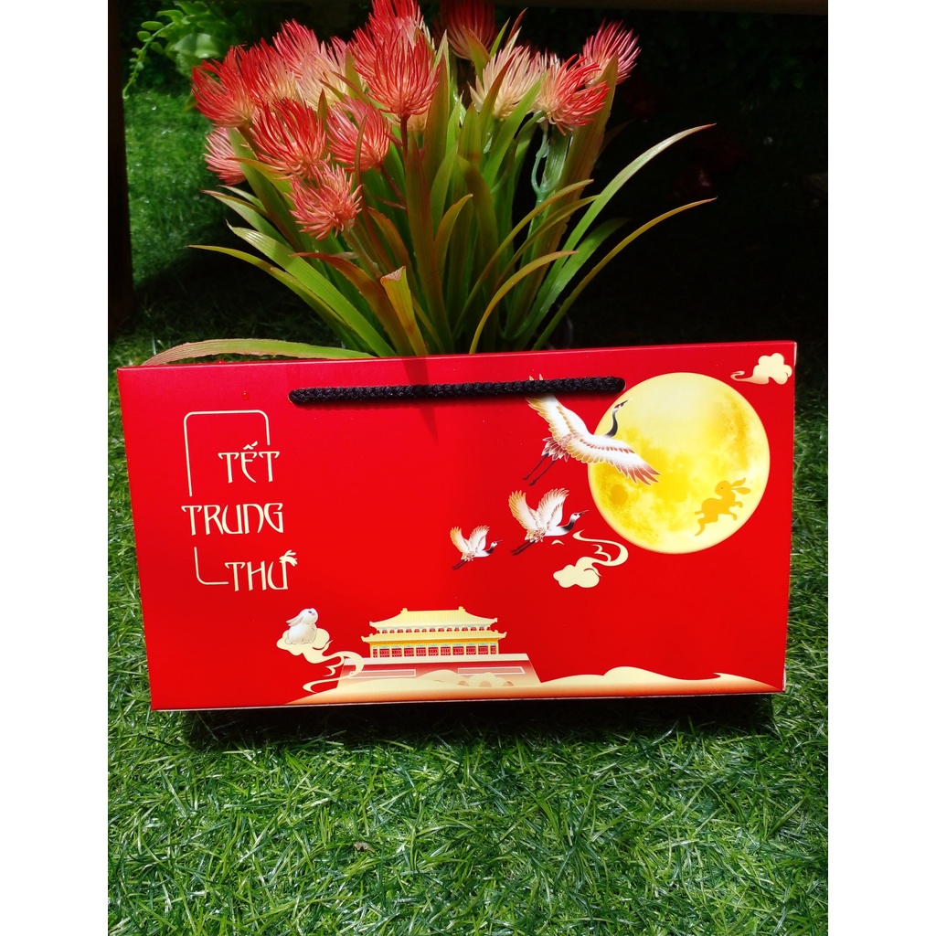 Hộp đựng bánh trung thu 2 bánh