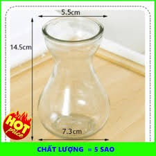 Bình Bông đựng củ tiên ông bán sỉ