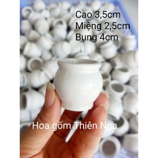 Combo 5 chậu hoa gốm sứ mini 3,5 cm