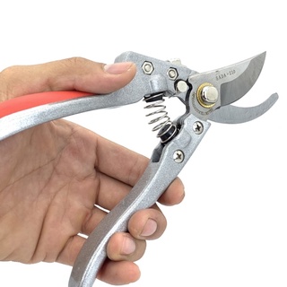Kéo cắt cành SADA mỏ cong dài 210mm của Nhật Bản với lưỡi siêu bền đạt 1 triệu lần cắt cho thợ cây cảnh