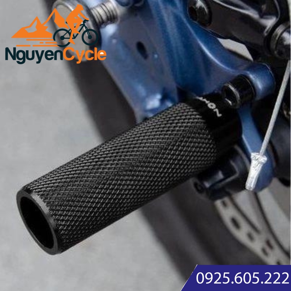 Để chân Dahon DH 1091