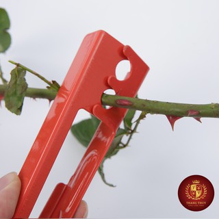 Phụ kiện hoa Tuốt gai 2 Cái/Set