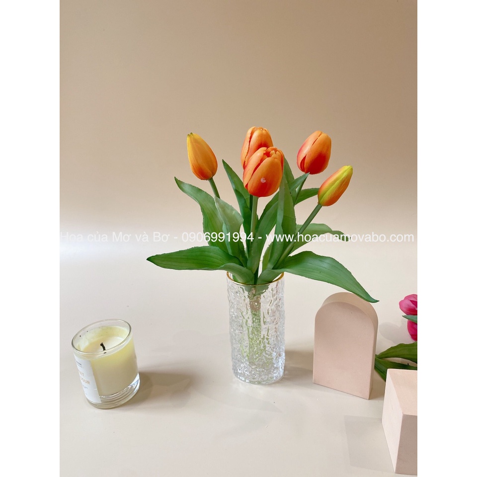 Bó 5 Bông Hoa Tulip Giả Nhiều Màu Cao Cấp Merber (Mơ &amp; Bơ) Bó 3 Bông Hoa 2 Nụ Hoa - Hoa Decor Trang Trí Nhà, P.Khách