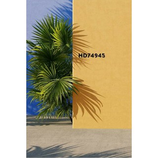 PHÔNG 3D CHỤP ẢNH (Livestream-Background)