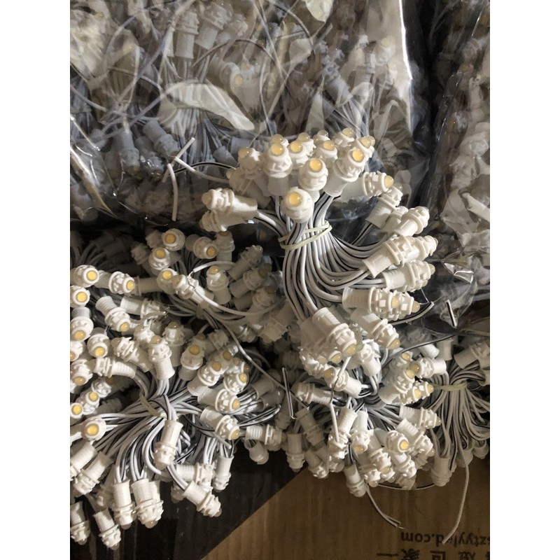 Led đúc f5 quấn cây chống nước 12v ( bó dài 3m) | BigBuy360 - bigbuy360.vn