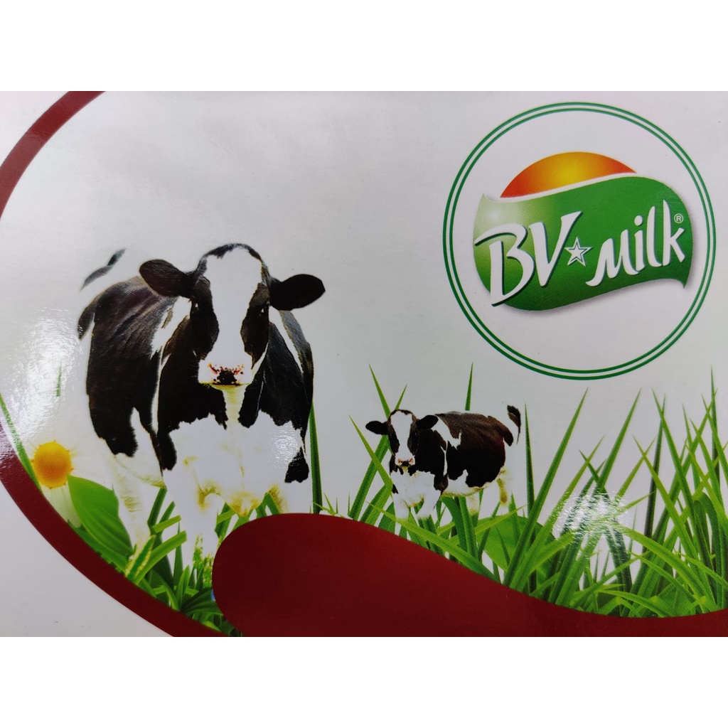 Bánh Sữa Nguyên Chất Socola Nhạt Ít Đường Hiệu BVMILK Đặc Sản Ba Vì - Hộp 180g