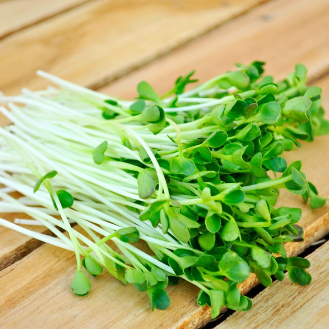 Hạt giống cải mầm đà lạt gói 100g