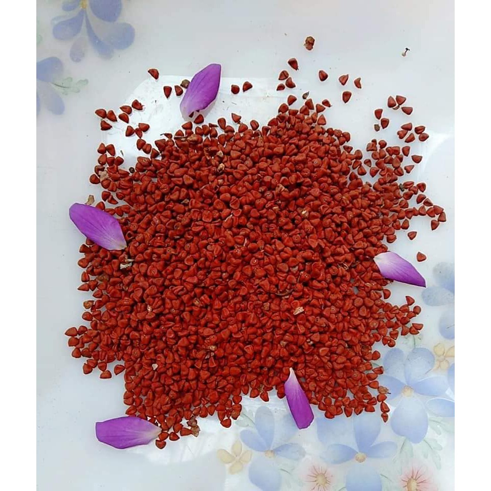 100g ĐIỀU ĐỎ SẠCH LÀM MÀU CÁC MÓN ĂN