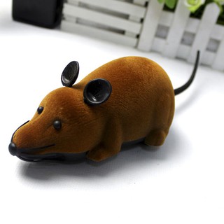 Fake mouse remote control toy for your pet