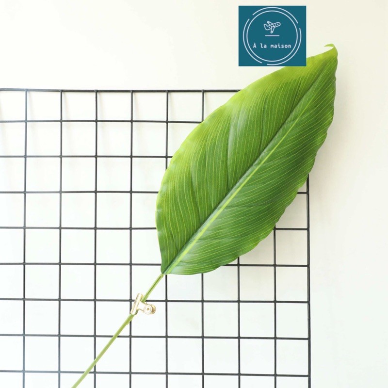 Cành lá Calathea cao 90cm dùng trong decor thiết kế chụp ảnh, trang trí nhà cửa