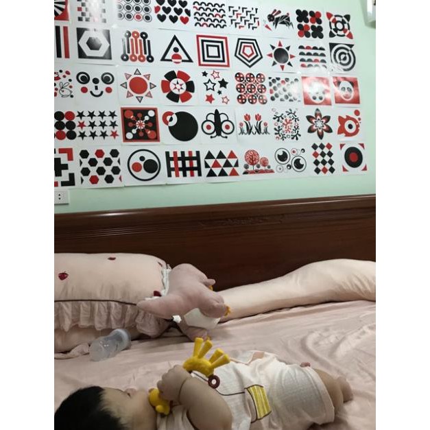 Bộ Thẻ Kích Thích Thị Giác cho trẻ sơ sinh 2-7 tháng tuổi