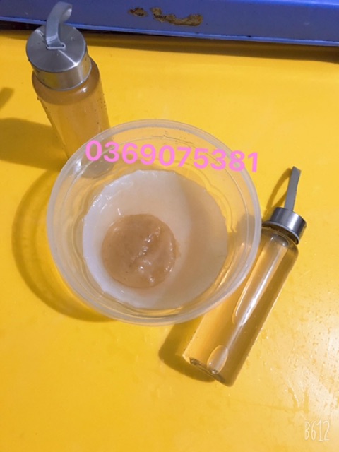 Giấm kombucha -con giống khoẻ -nấm thuỷ sâm