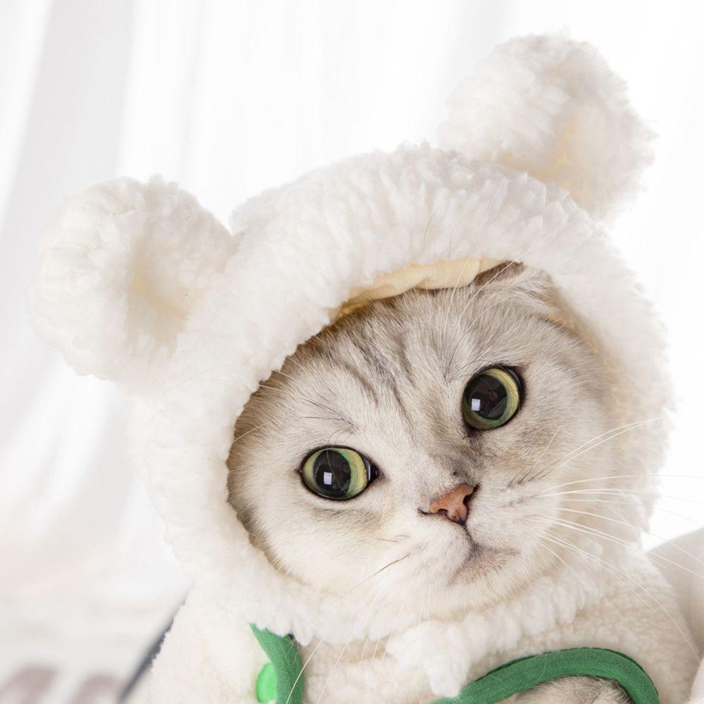 Mũ Đội Đầu Dễ Thương Dành Cho Thú Cưng