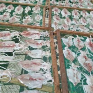 MỰC KHÔ L2 NGON NGỌT
