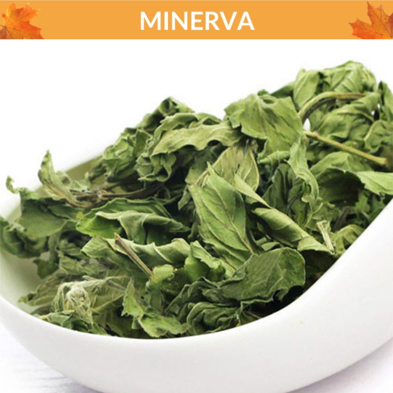 100 g Bạc hà sấy lạnh loại đẹp , lá xanh nguyên chất pha trà , xông phòng