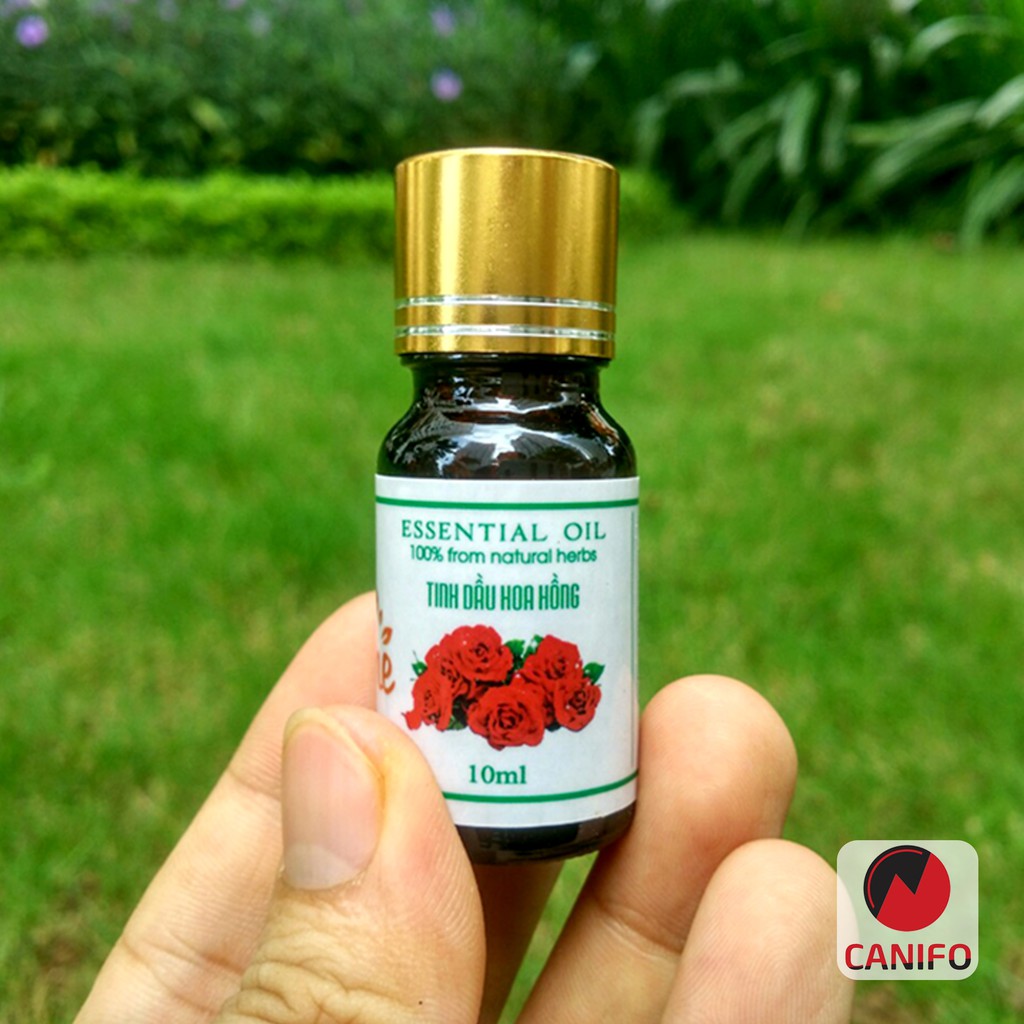 Tinh dầu Hoa Hồng Canifo 10ml - Hàng thương hiệu, Thơm tự nhiên, lãng mạn và sang trọng