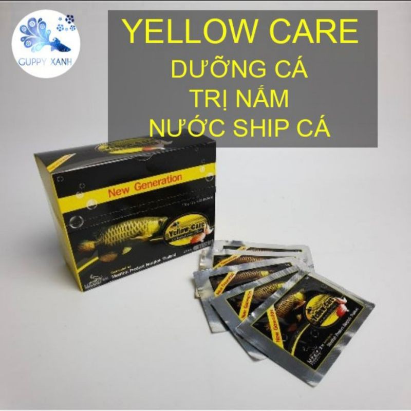 Yellow Care - Phòng Và Dưỡng Sức Cho Cá Khỏe Mạnh