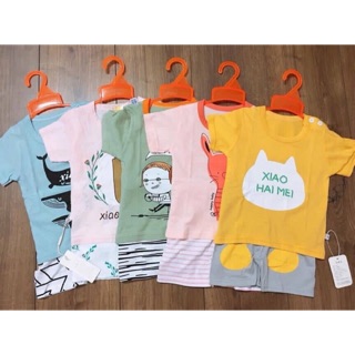 Sét 10 bộ cotton quảng châu
