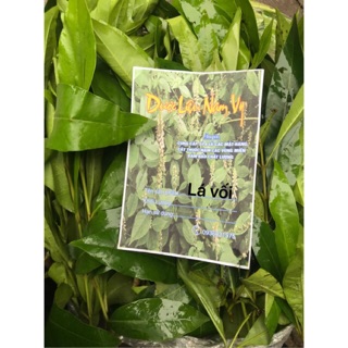 Lá vối tươi 1kg sẵn hàng