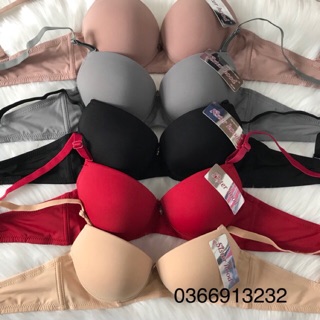 Áo ngực có gọng nâng ngực Thái Lan Sister hood 2354 vải mát rẻ đẹp