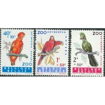 Tem sưu tập Tem Bỉ Chim  ( 3 tem )