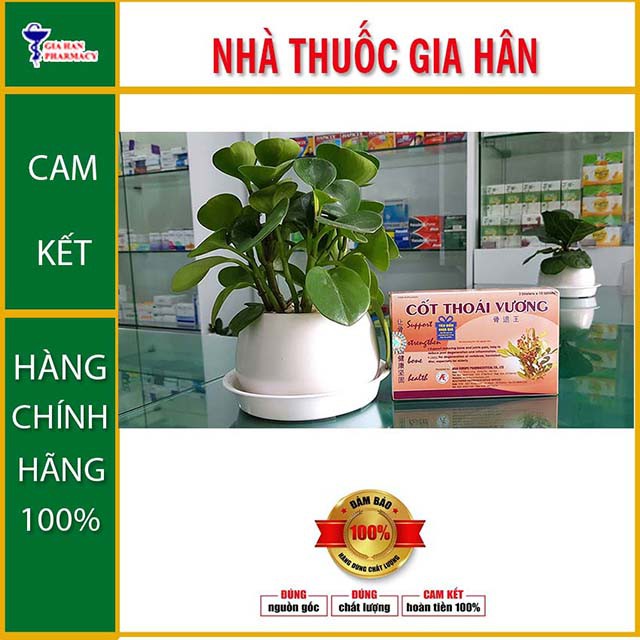 Cốt Thoái Vương Giảm Đau Nhức và Hỗ Trợ Trị Bệnh Xương Khớp